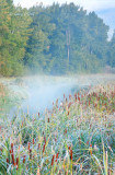 Rising-Mist-HDR.jpg