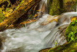 Milky-Water-ISO-100,-55mm,-f--22-@-1-13-sec.jpg