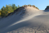 IMG_5641 dunes detail.jpg
