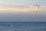 IMG_6537 Frankfort kite surfer.jpg