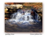 Sparkling Water