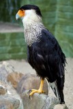 IMG_0001.JPG