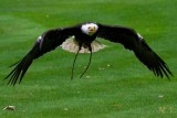 IMG_0098.JPG