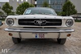 MV5D0283.jpg