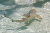IMG_5138.jpg