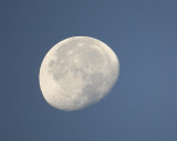 moon BRD3768.JPG