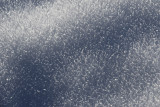 PAW39 - Hoarfrost