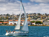 San Diego Bay Sailors