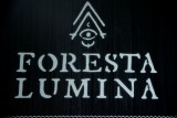 140810-20-Foresta Lumina - Coaticook.jpg