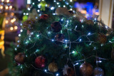 xmaslights-6.jpg