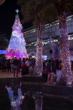 xmaslights-4.jpg