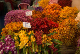 bangkok flower market-25.jpg