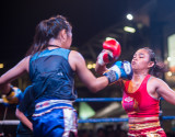 muaythai3042014-5.jpg