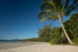 Cape-Tribulation-FNQ-queensland-3.jpg