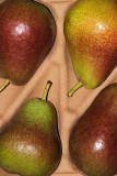 18 May: Pears