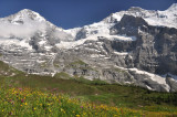 View near Wengernalp