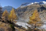 Aletsch Glacier