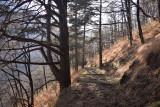 Mountain trail, Centovalli