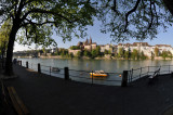 Rhine promenade on a spring morning