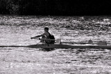 2013 - Twickenham Regata - IMGP8651