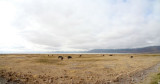 40720_108_Ngorongoro-Crater-floor.JPG