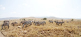 40720_124_Ngorongoro-Crater-floor.JPG