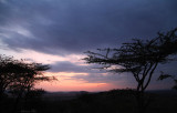 40722_134_Serengeti-Sunset.JPG
