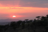 40723_142_Serengeti-Sunset.JPG