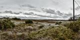 washout river view pano.jpg