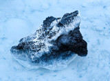 Penguin Rock