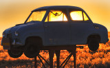 Goggomobil Sunset