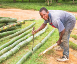 Splitting Bamboo with a Machete