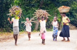 Cassava Planting Crew