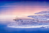 Receding Tide