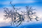 Burren Reflections