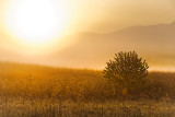 Great Smoky Dawn