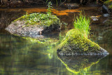 Islands in the Stream