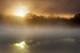 Foggy Dawn