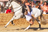 Camargue Horse Maneuvers