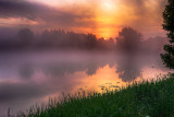 Foggy Dawn