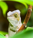 Im watching you