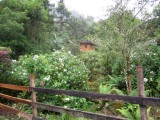 Quetzal House from road