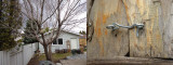 ZS40 Please view at original size