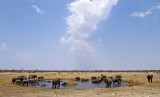 Etosha waterhole