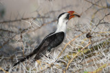 _DSC7557.jpg