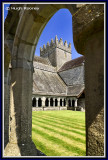 Ireland - Co.Tipperary - Holycross Abbey 