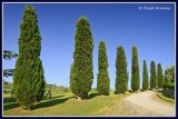  Italy - Tuscany - San Quirico DOrcia