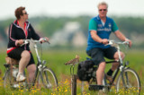 Fietsers en grutto PSLR-6418.jpg