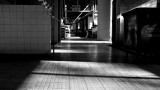 DSCF3211x.jpg
