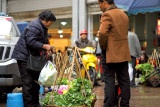 An Evening At The Market